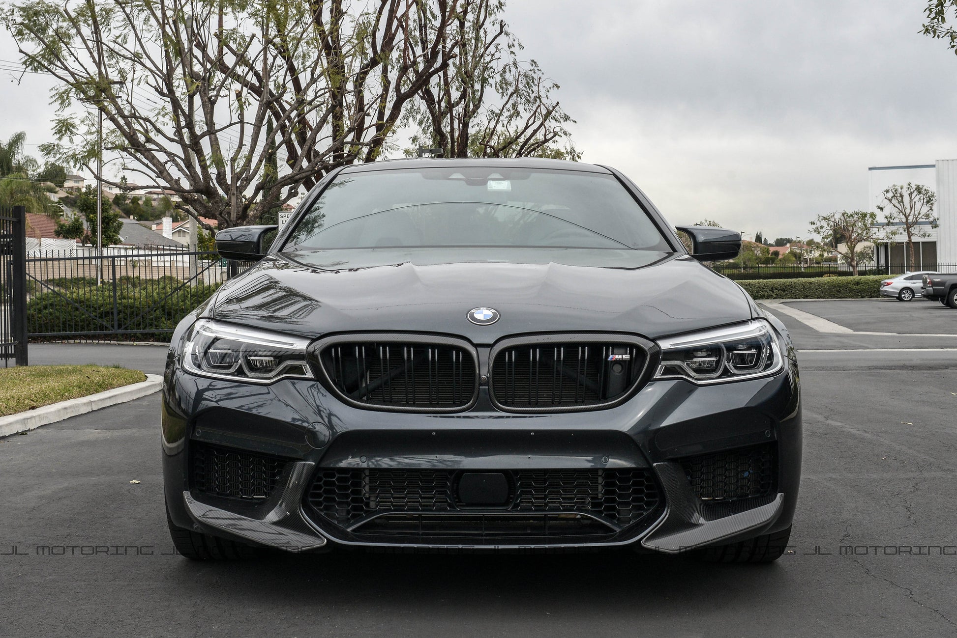 BMW F90 M5 Carbon Fiber Front Grilles