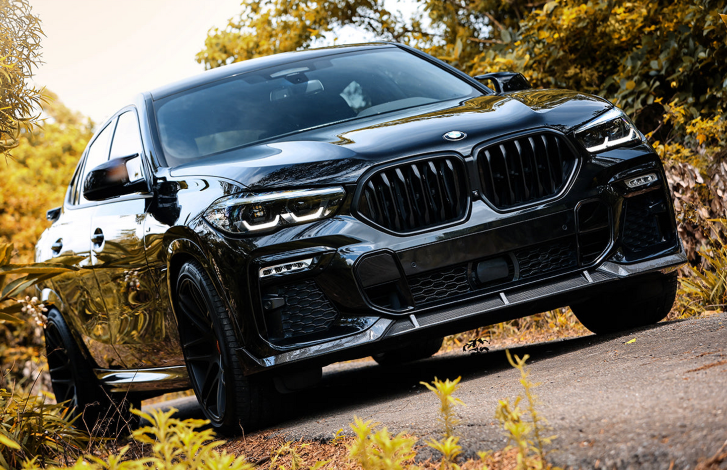 BMW G06 X6 Front Grilles